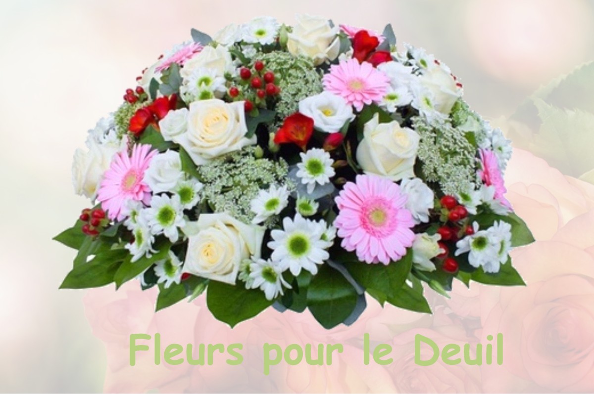fleurs deuil LA-NEUVILLE-SUR-OUDEUIL